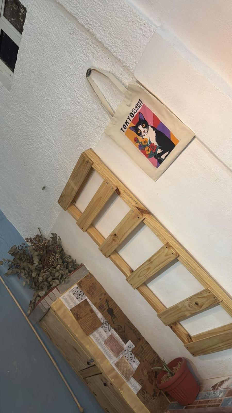 Yaya Casa